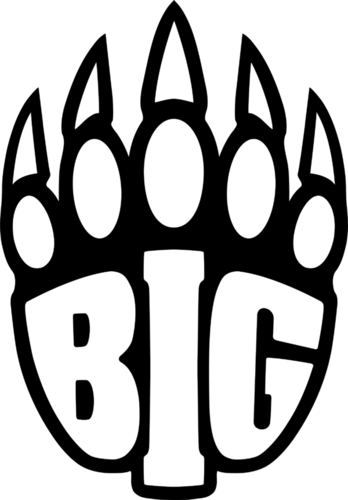 icon for BIG vs Lynn Vision