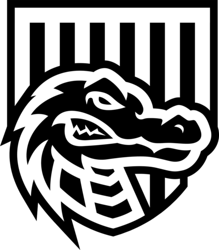 icon for Cyber Hero vs Omnix