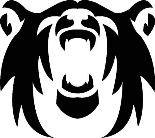 Polar Squad Esports