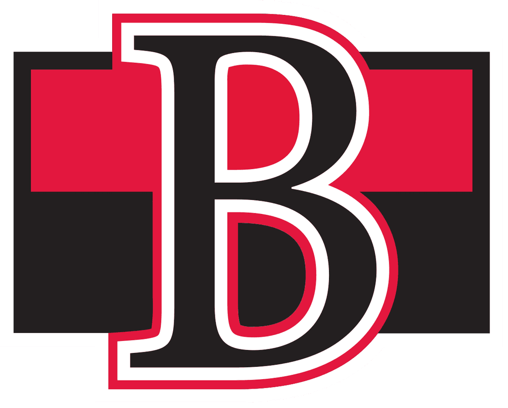 bel icon