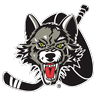chi icon