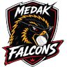 med icon