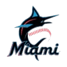 mia icon