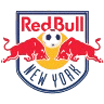nyr icon
