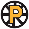 pro icon