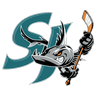 san icon