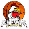 san icon