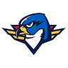 spr icon