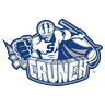 syr icon