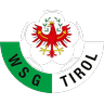 wsg icon