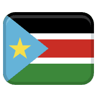 ss icon