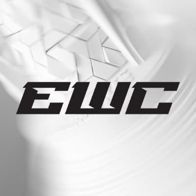 EWC Valorant Winner