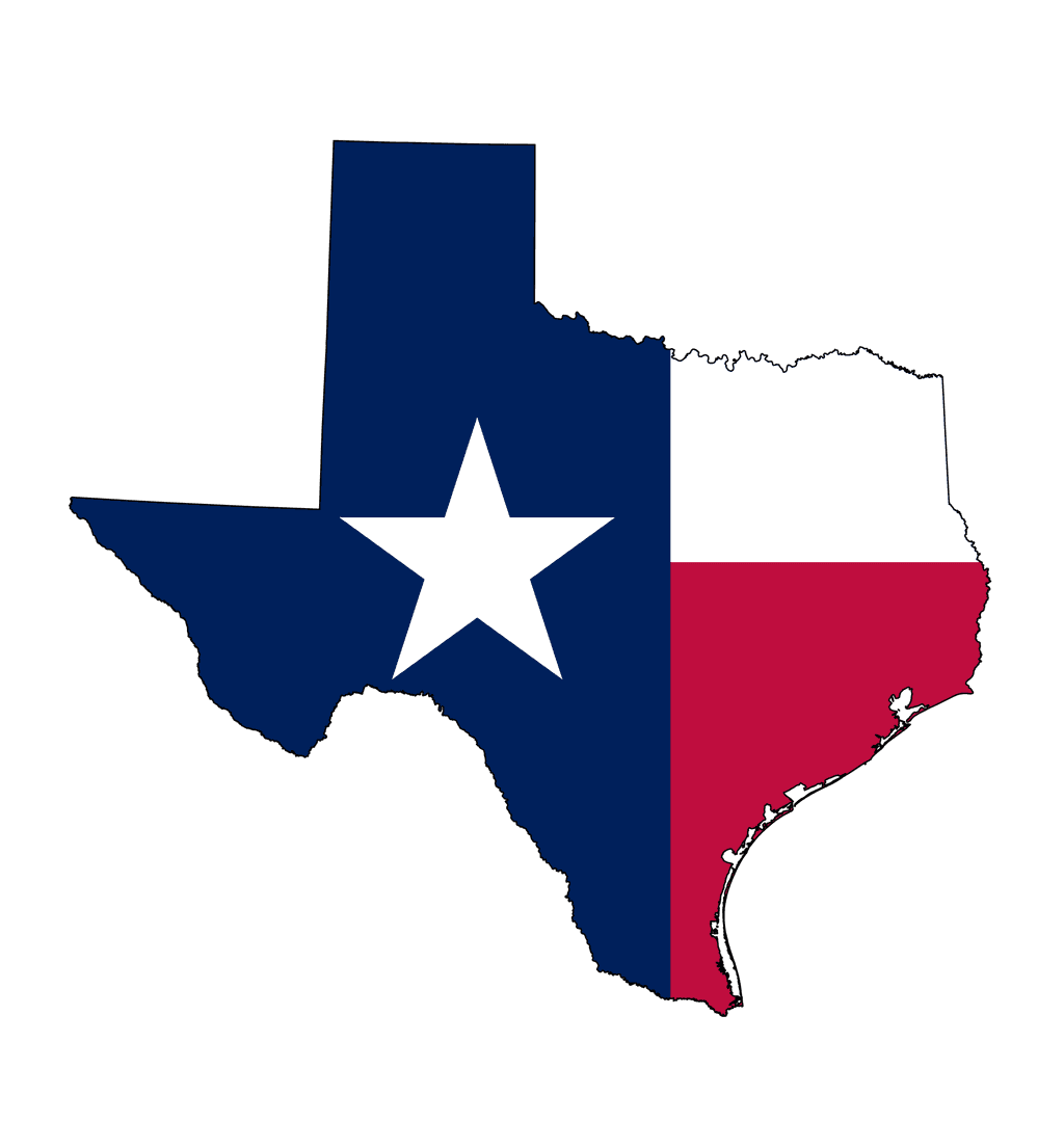 Texas Senate Election Winner card icon