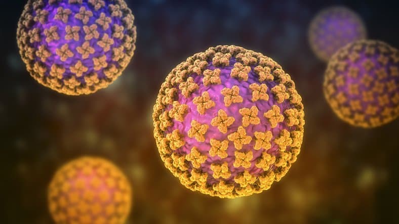 icon for Hantavirus pandemic in 2026?