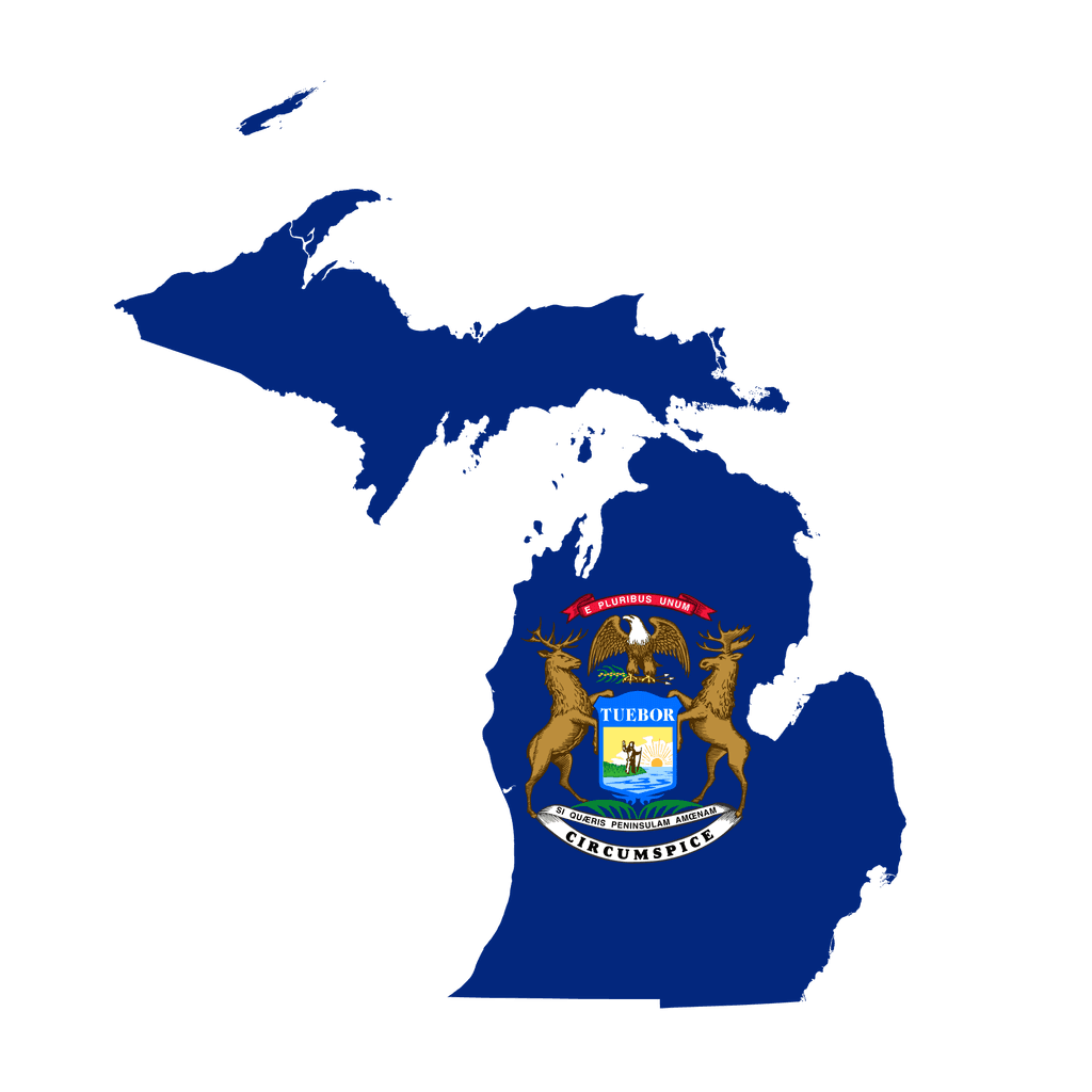 Michigan Governor Election Winner card icon