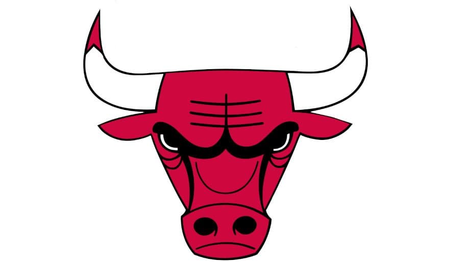 icon for NBA: Next Bulls Head Coach