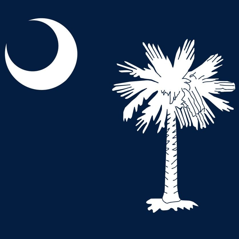 icon for South Carolina Republikanischer Senat Special Primary Gewinner