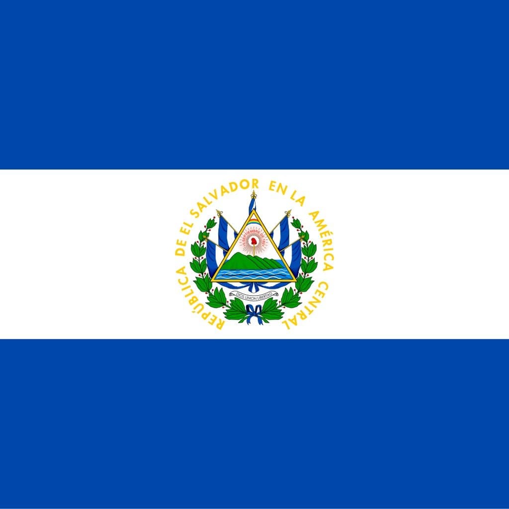 icon for El Salvador Presidential Election Winner