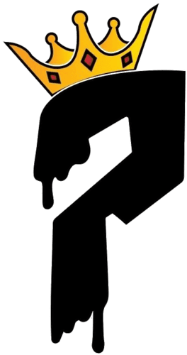 pn icon