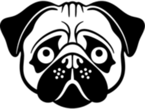 zoner icon