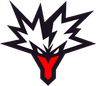 Team Yandex