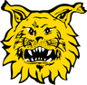 Ilves Tampere
