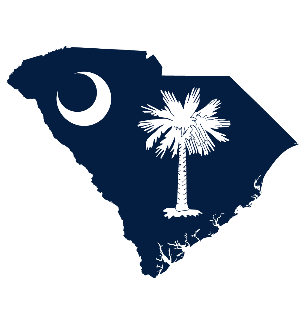 South Carolina Senate Election Winner card icon