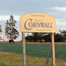 icon for 2026 Cornwall-Meadowbank PEI Assembly By-Election Winner