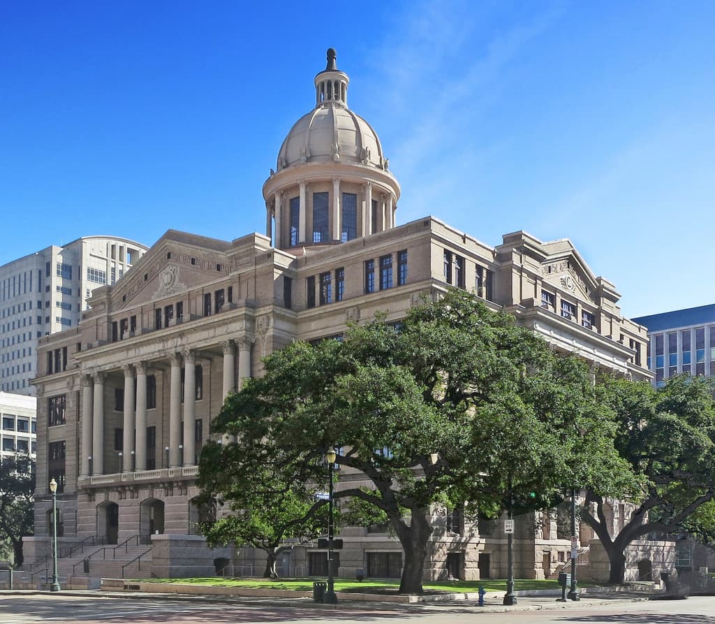 icon for 2026 Harris County Judge Election Winner
