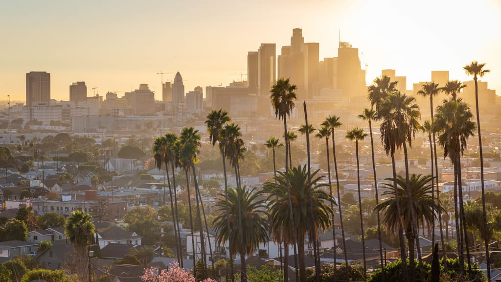 icon for 2026 Los Angeles County Sheriff Election Winner