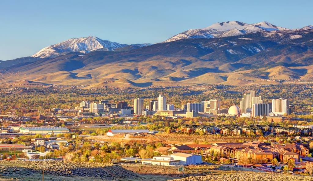 icon for 2026 Reno Mayoral Election Winner
