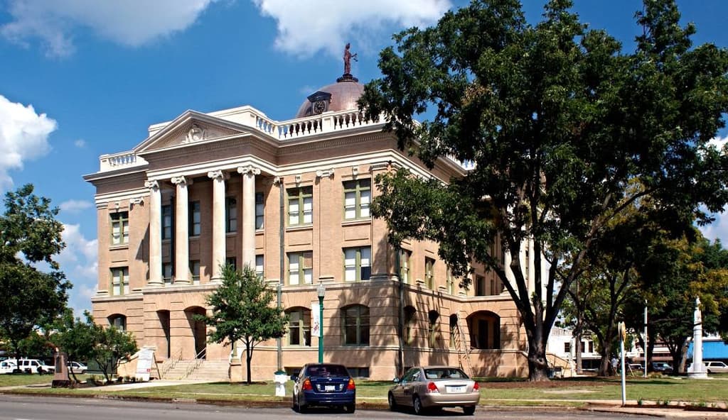 icon for 2026 Williamson County Judge Election Winner