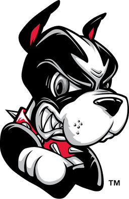 Boston Terriers