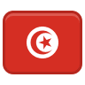 tun icon