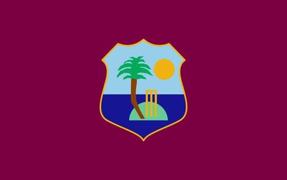 wst icon