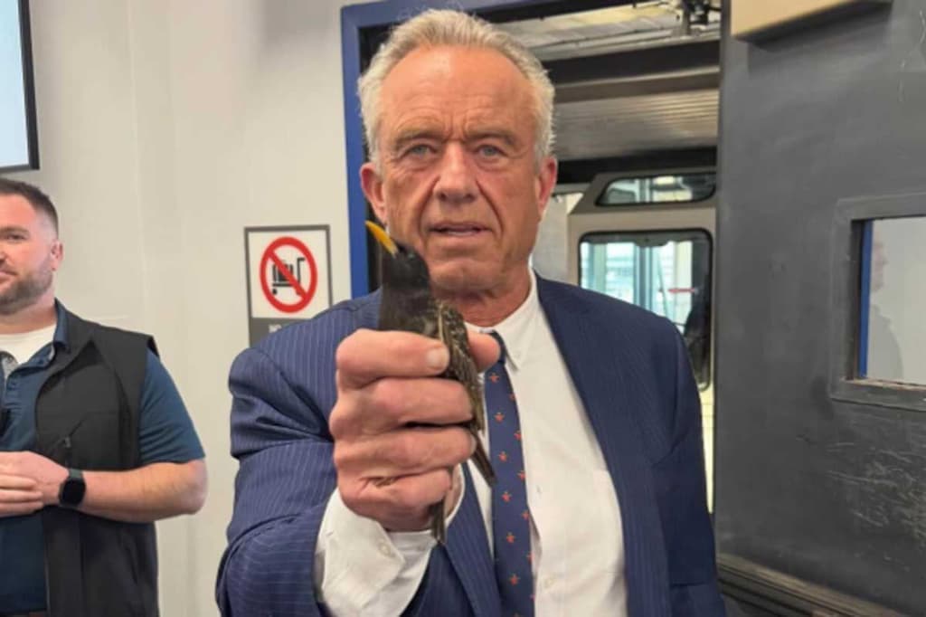 icon for Another RFK Jr animal rescue by June 30?