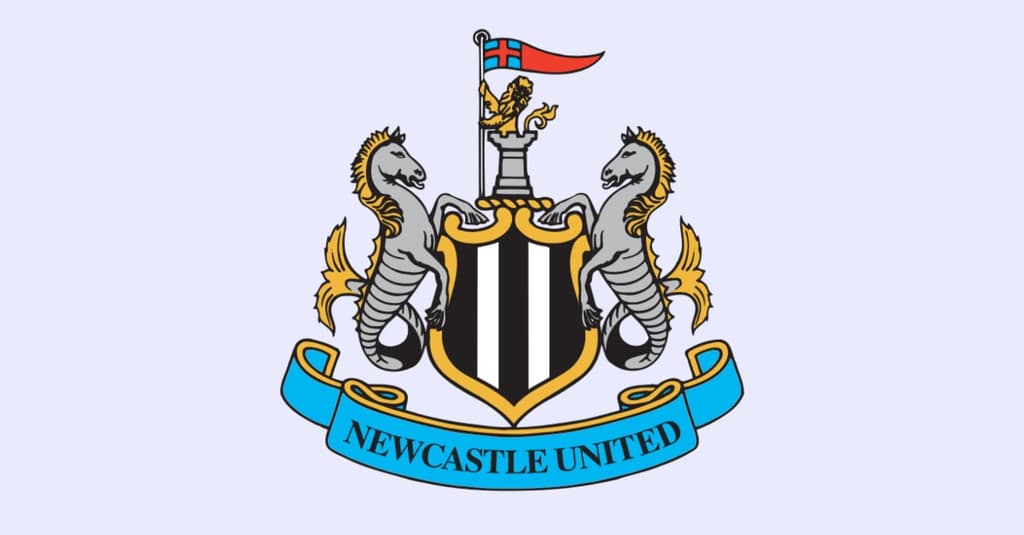 icon for EPL :下一任纽卡斯尔联队主教练