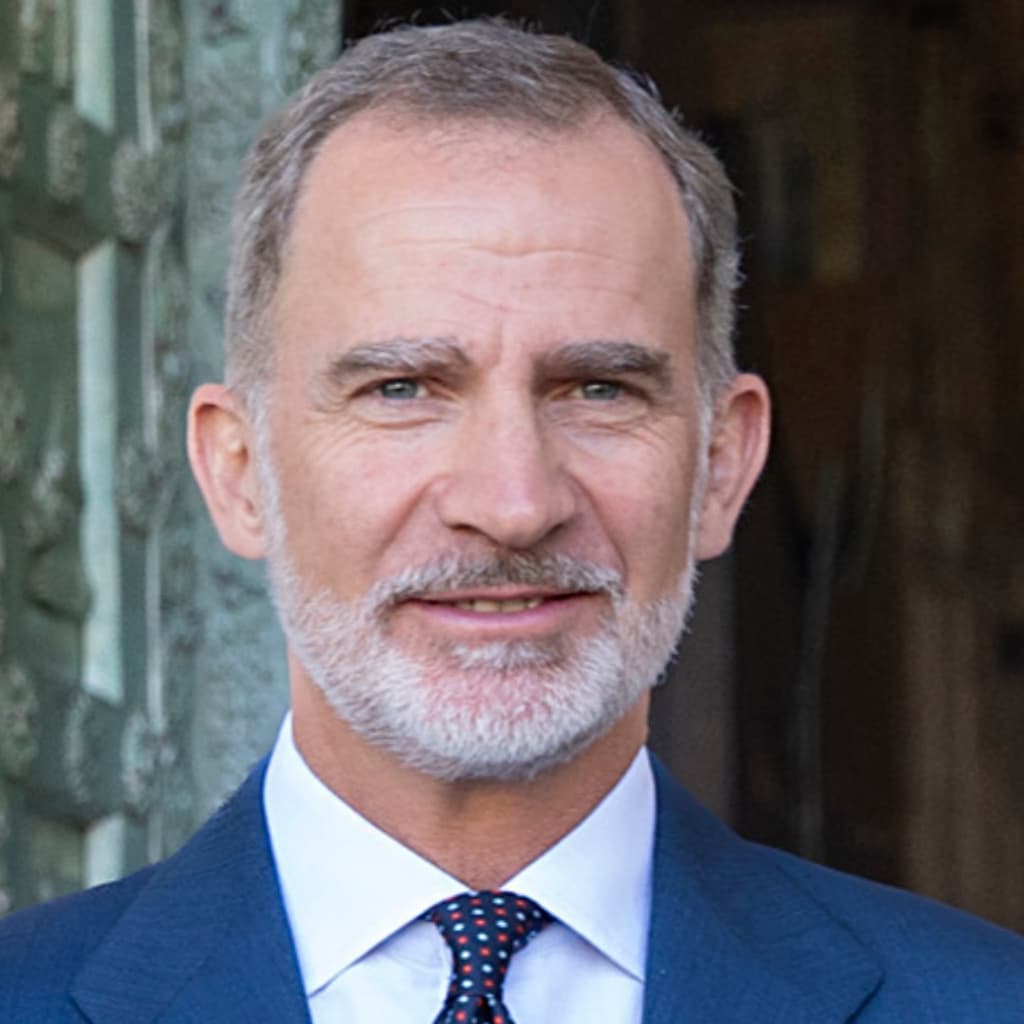 icon for King Felipe VI