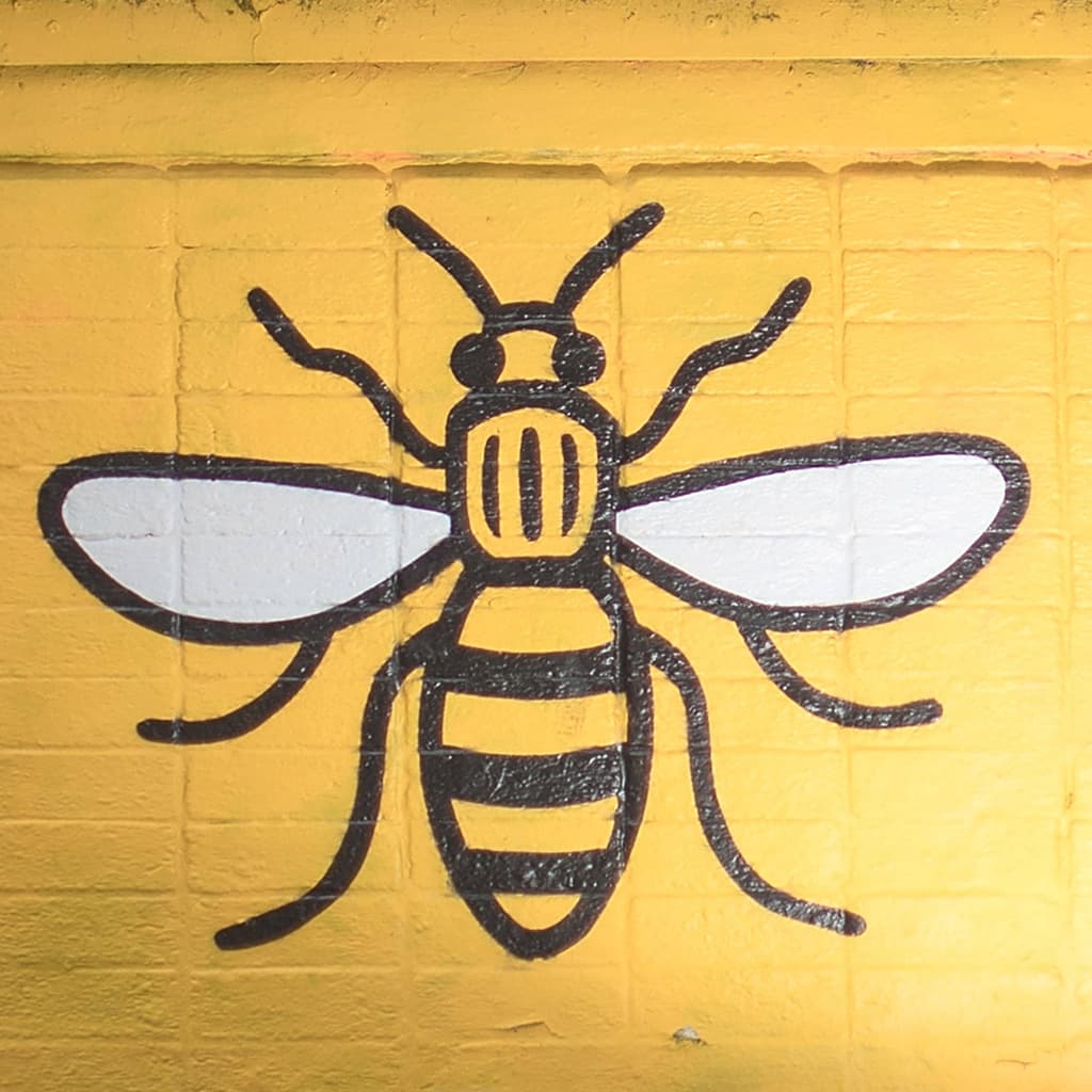 Greater Manchester Mayoral Election Winner card icon
