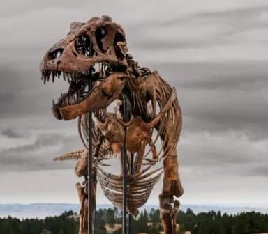 icon for “Gus” - A Mounted Tyrannosaurus Rex Skeleton Sale Price
