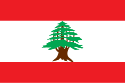 Lebanon Parliamentary Election Winner - image