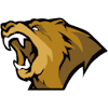 icon for Lynn Vision