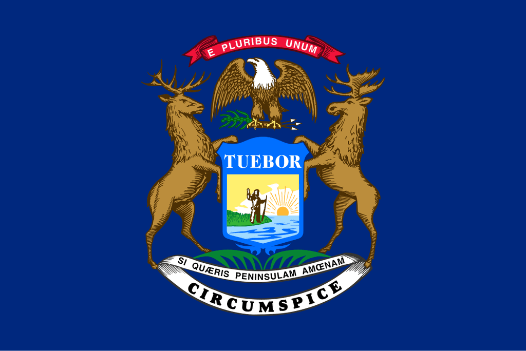Michigan Democratic Senate Primary Winner