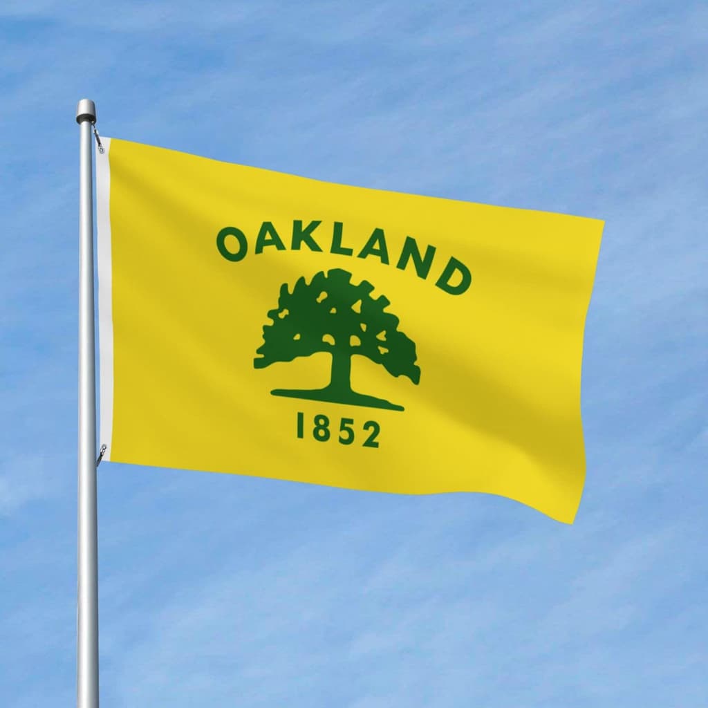 icon for Bürgermeisterwahl in Oakland