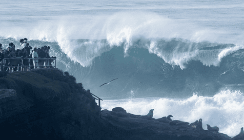 icon for Highest sea level in San Diego this winter?