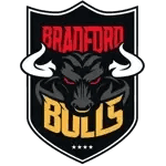bra icon