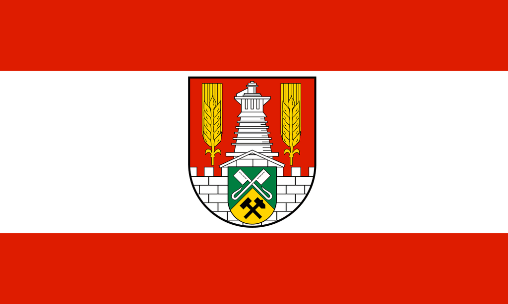 icon for Salzgitter Mayoral Election Winner
