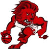 leo icon