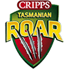 tas icon