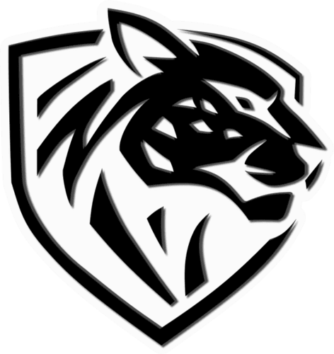 Ilbirs eSports